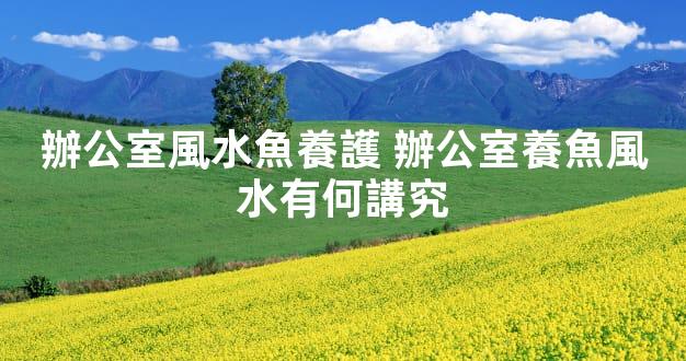 辦公室風水魚養護 辦公室養魚風水有何講究